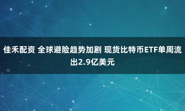 佳禾配资 全球避险趋势加剧 现货比特币ETF单周流出2.9亿美元